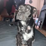 Darrel Stone - @darrelstone06 - Instagram