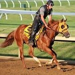 Darrell Adams - @darrell.adams.5454 - Instagram