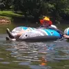 Darrell Adams - @darrell.adams1 - TikTok