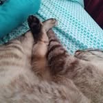 Darrell Ashley - @darrell.ashley.714 - Instagram