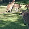 darrellatkinson77 - @darrellatkinson77 - TikTok