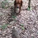 Darrell Barber - @darrellbarber4672 - Instagram