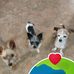 Darrell Barlow - Facebook