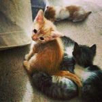 @darrell_bates - Instagram