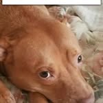 Darrell Bennett - @darrellbennett4377 - Instagram
