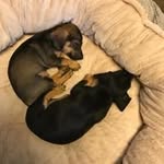 Darrell Bennett - @darrellbennett3669 - Instagram
