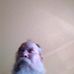 Darrell Berg - Facebook
