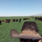 Darrell Bishop - @73rocking - Instagram