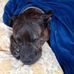 Darrell Bradshaw - Facebook