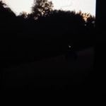 Darryl Briscoe - @briscoe.darryl - Instagram