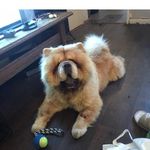 Darrell Brooks - @darrell.brooks.9809 - Instagram