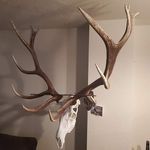 @darrell_brooks_ - Instagram