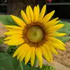 darrell.broussard - @darrell.broussard - TikTok