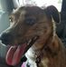 Darrell Chadwick - Facebook