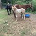 Darrell Collier - Facebook