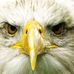Darrell Cooper - Facebook
