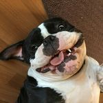 Darrel Cormier - @darrelcormier - Instagram