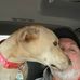 Darrell L Crow - Facebook