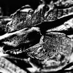 Darrell Donovan - @darrelldonovan67 - Instagram