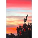 Darrell Easter - @darrelleaster - Instagram