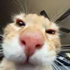 darrellferguson_ - @darrellferguson_ - TikTok