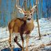 Darrell Gerdes - Facebook
