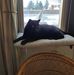 Darrell Gerdes - Facebook