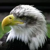 durrellgerhardt - @durrellgerhardt - TikTok