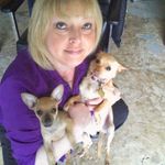 Darrell Gilbreath - @gilbreathdarrell - Instagram