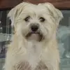 darrellgilmore808 - @darrellbrawlstar - TikTok
