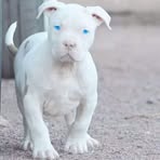 Darrell Glasco - Facebook