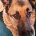Darrell Gleason - Facebook