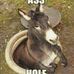 Darrell Glupker - Facebook