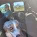 Darrel Goad - Facebook