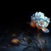 Darrell Godbold - Facebook