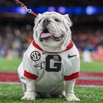 Darrell Goolsby - @darrellgoolsby2020 - Instagram