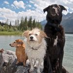 Darrell McGorman - @darrellmcgorman - Instagram