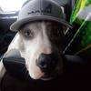 Darrell Grace - @darrell.grace - TikTok