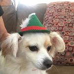 darrell grimes - @grimesdarrell - Instagram