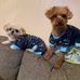 Darrell Grimes - Facebook