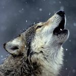 Darrell Grimes - @darrell.grimes.5 - Instagram