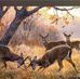 Darrell Grooms - Facebook