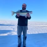 Darrell Gross - @darrellgross1 - Instagram
