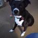 Darrell Grubbs - Facebook