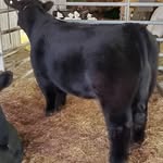 Darrell Grubbs - @darrell_grubbs - Instagram