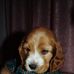 Darrell Grubbs - Facebook