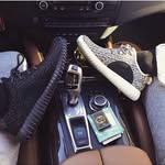 Darrell Gunn - @gunn_darrell - Instagram