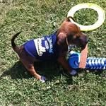 Darrell Gunning - @darrellgunning - Instagram