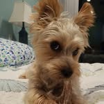 Darrell Guy - @wdarrellguy - Instagram