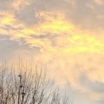 Darrell Haddon - @haddondarrell - Instagram